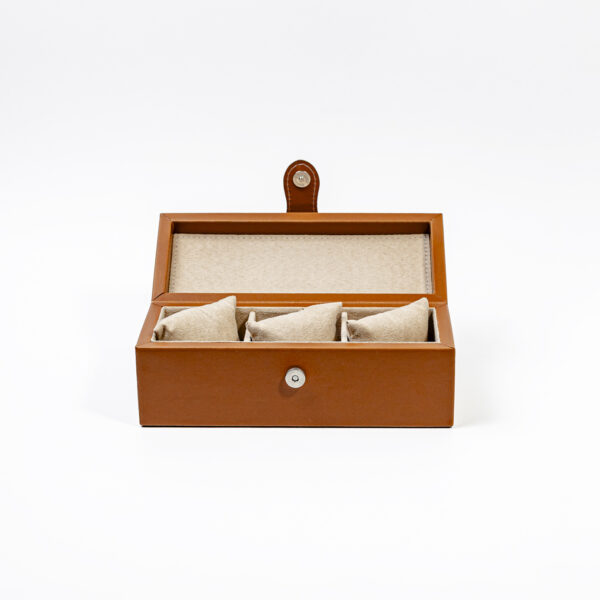 Caja de reloj (3)