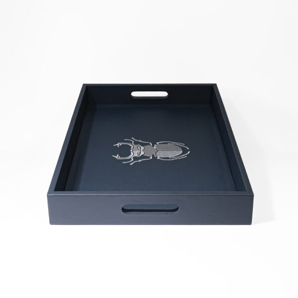 Tray large