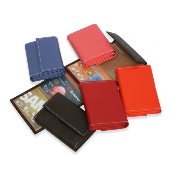 Multiple card holder
